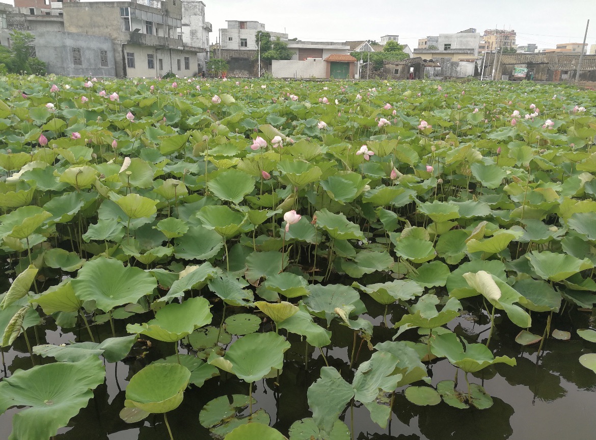探秘莱尔波仕酒店(海口高铁东站师范大学店)——海口最值得打卡的目的地