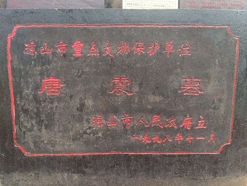唐震墓