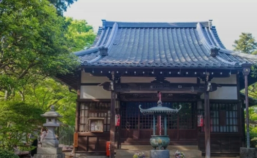 海口自由行攻略：从海口菲凡度假公寓(海南大学白沙门公园店)出发的经典路线
