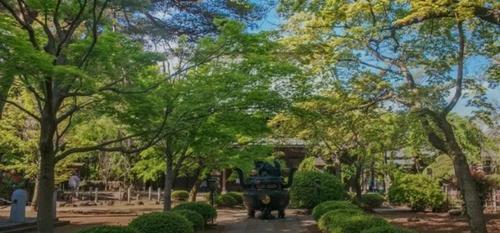 海口菲凡度假公寓(海南大学白沙门公园店)全方位解析：2026年海口旅游深度攻略