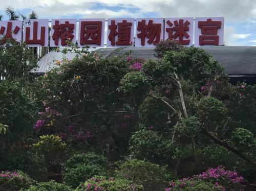 火山榕园植物迷宫(植物园)