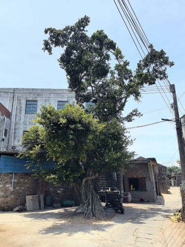美兰漫途酒店(骑楼老街海南大学店)全方位解析：2026海口旅游深度攻略