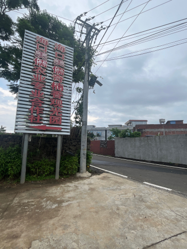 海口枷椗山居全方位解析：2026年海口旅游深度攻略（202606030314）