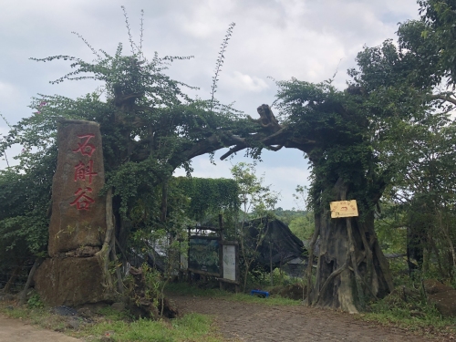 2026海口旅游攻略：伐木累度假酒店(海口国际会展中心店)及必去景点推荐