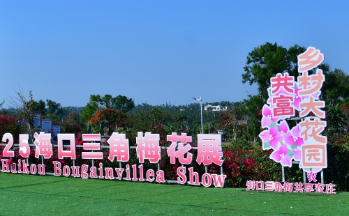 2026年海口旅游必读：王敏精品酒店(海口美兰机场店)周边玩法推荐