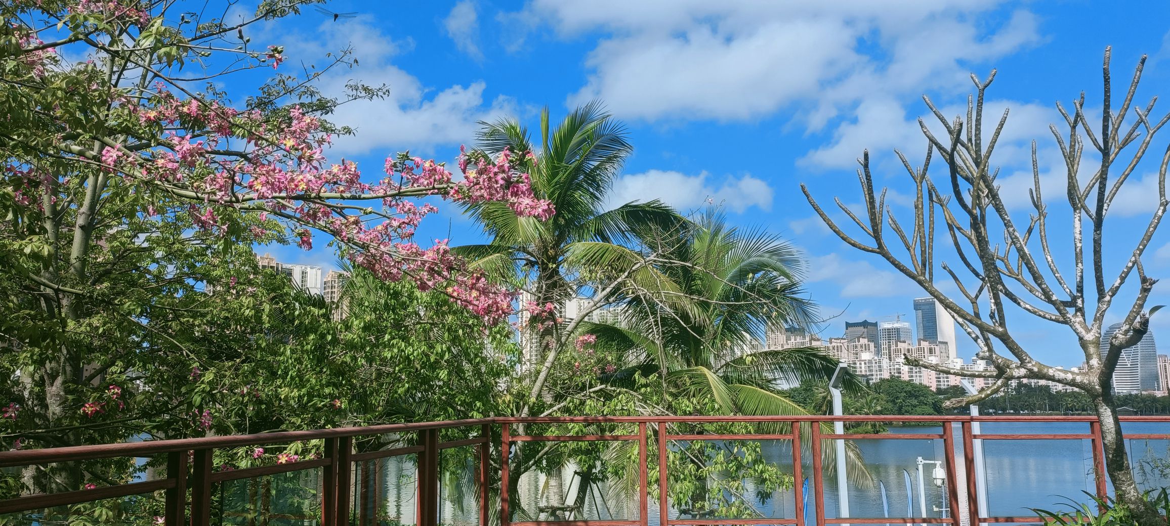 2026年海口旅游必读：星梦假日酒店(海口美兰机场店)周边玩法推荐（202606171657）