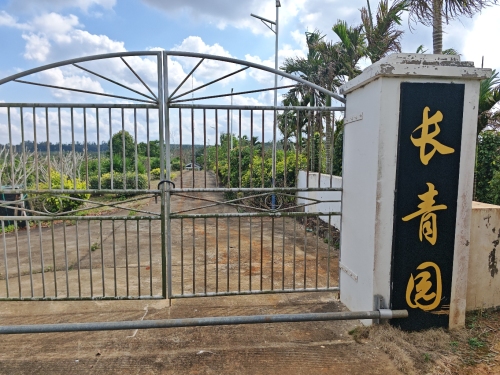 海口佳顺宾馆攻略：海口必去景点与旅行贴士
