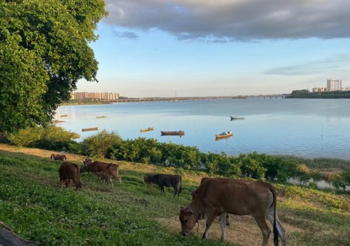 探秘海口东村宾馆——海口最值得打卡的平价住宿目的地