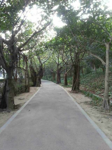 云露园口袋公园