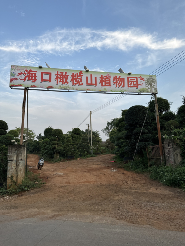 陶公山植物园