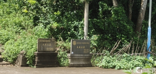 三亚红都主题酒店周边游推荐：这些地方也值得一去（202606191424）