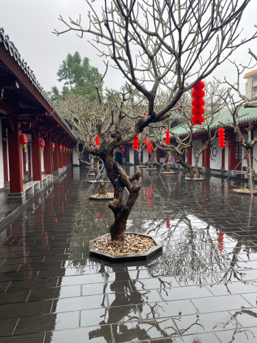 三亚大东海精品海景度假公寓游玩全攻略——门票、交通、住宿一文搞定