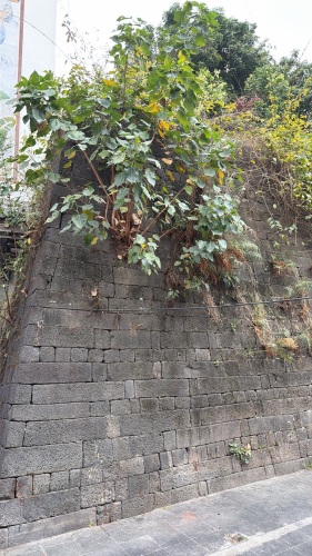 府城西城墙