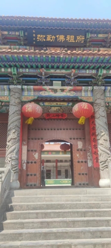 三亚梓路客栈(亚龙湾热带森林公园店)游玩全攻略——门票、交通、住宿一文搞定