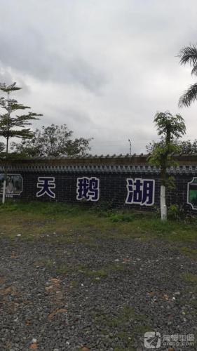天鹅湖