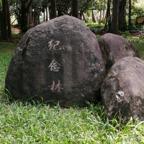 来三亚别只知道打卡——三亚方平居旅租的宝藏玩法（2026攻略）