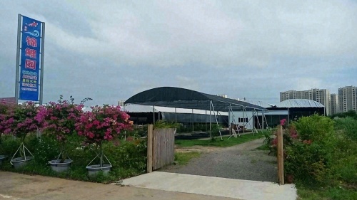 2026年三亚旅游必读：三亚赣湖酒店(荔枝沟千古情店)周边玩法推荐（202606172109）