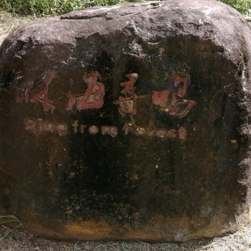 三亚大东海留夏时光海景民宿到底值不值得去？2026年三亚旅行体验报告（202606190202）