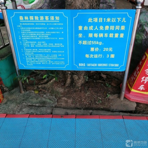 森林探险