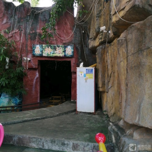 森林探险