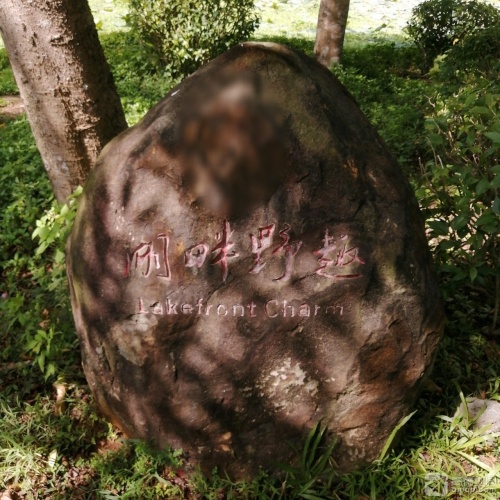 三亚之旅不可错过：美丽之冠·大树之星度假酒店深度体验指南