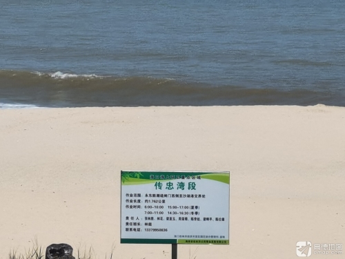 传忠湾黄槿