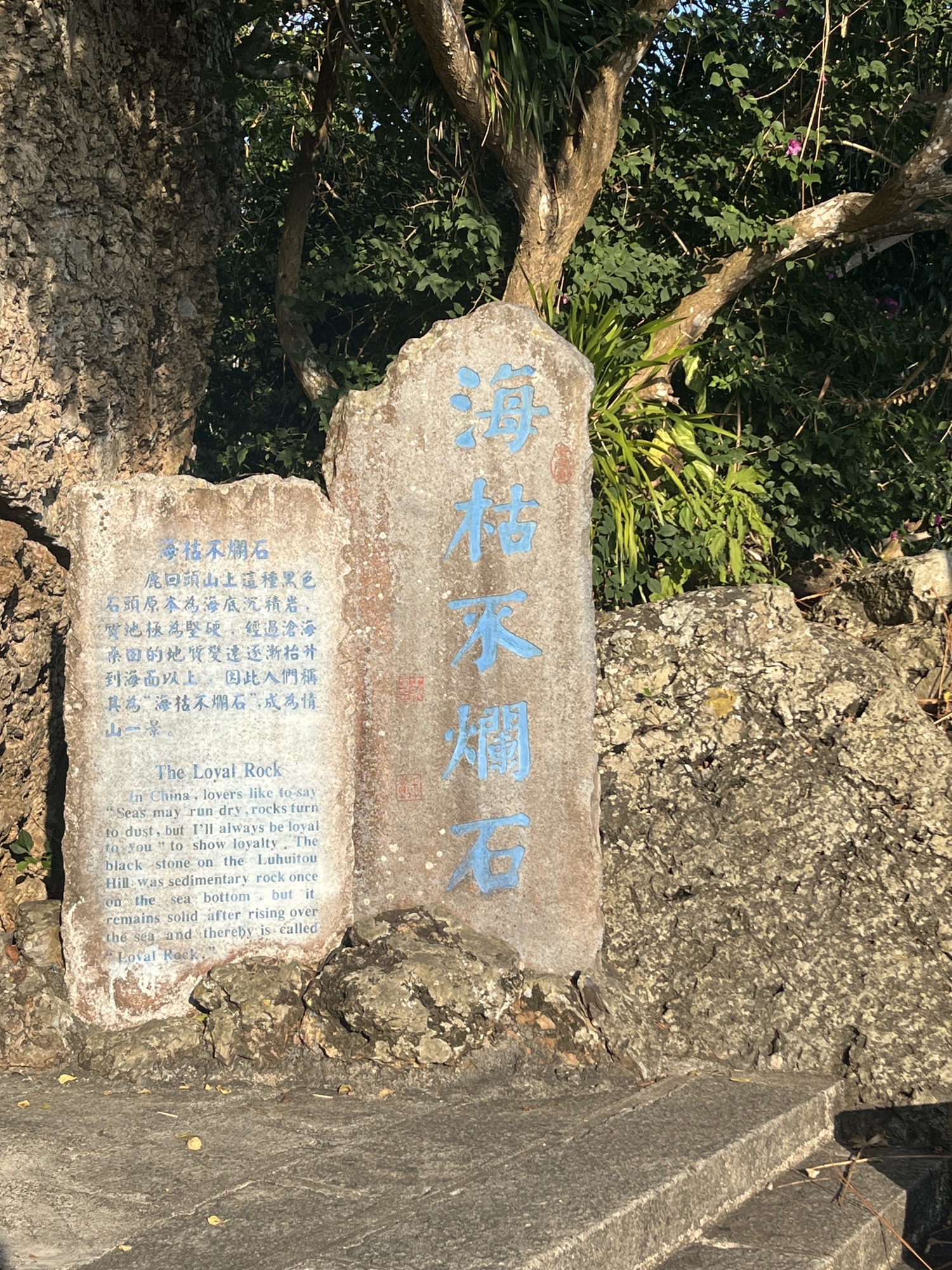 三亚自由行攻略：从祥源旅馆(三亚中心医院店)出发的经典路线