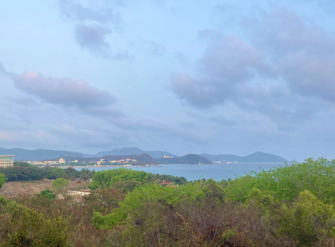 野猪岛(不对外开放)