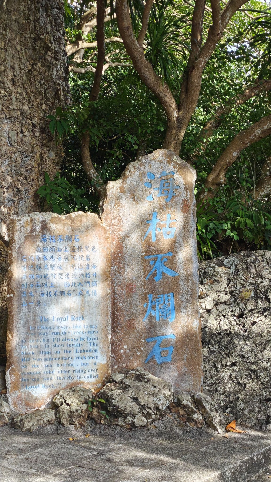 2026年三亚旅游必读：花海洋房别墅(三亚海棠湾免税城店)周边玩法推荐