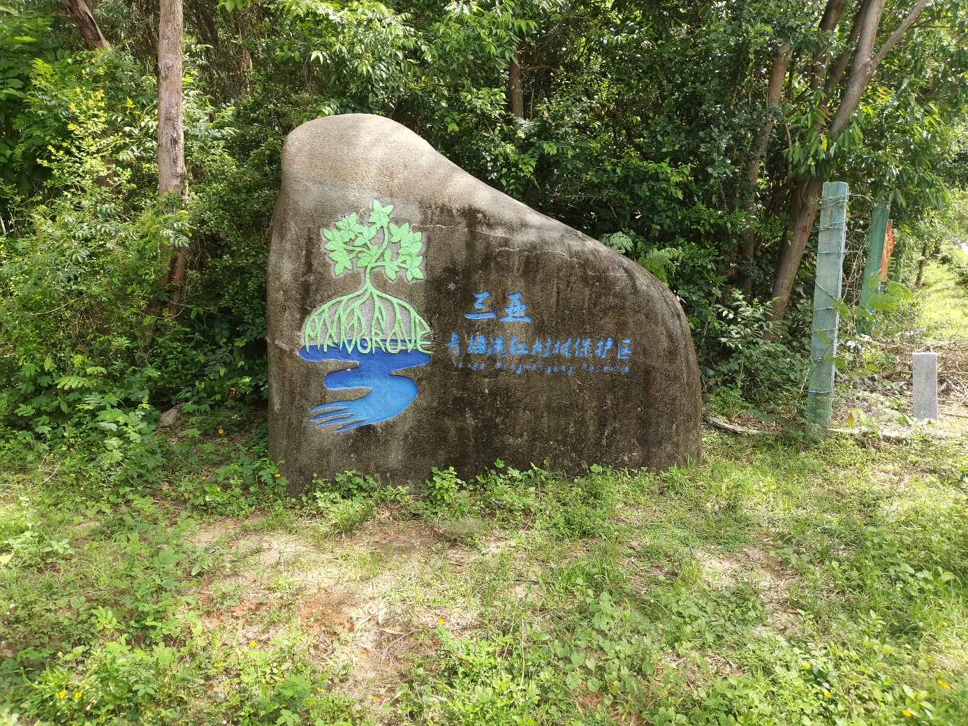 来三亚别只知道打卡——光大汇晨三亚海棠花开康养中心的宝藏玩法
