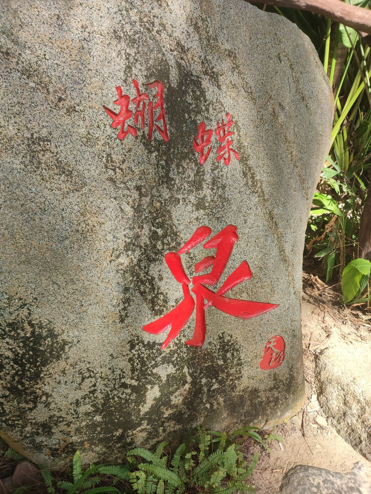 三亚之旅不可错过：阿布扎酋长酒店深度体验指南（202606181212）