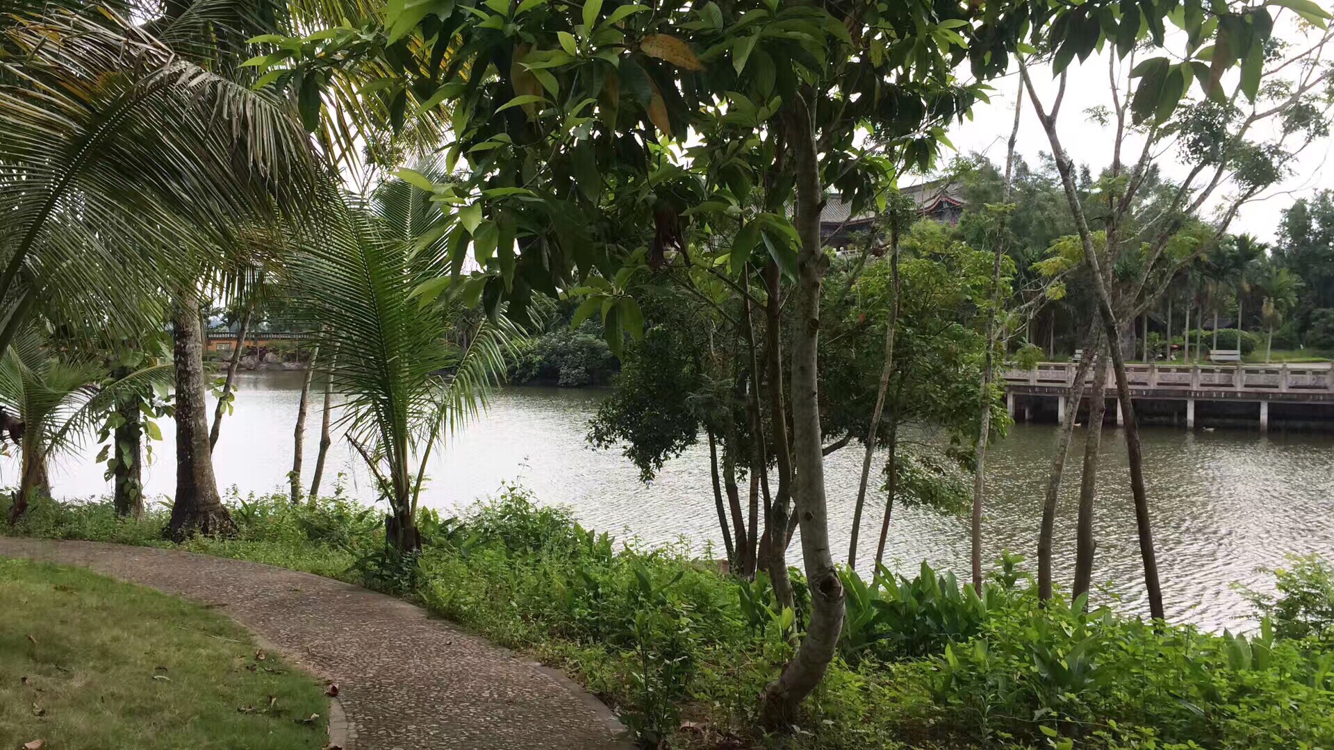 2026年海口旅游必读：0898快捷酒店(海口汽车西站店)周边玩法推荐
