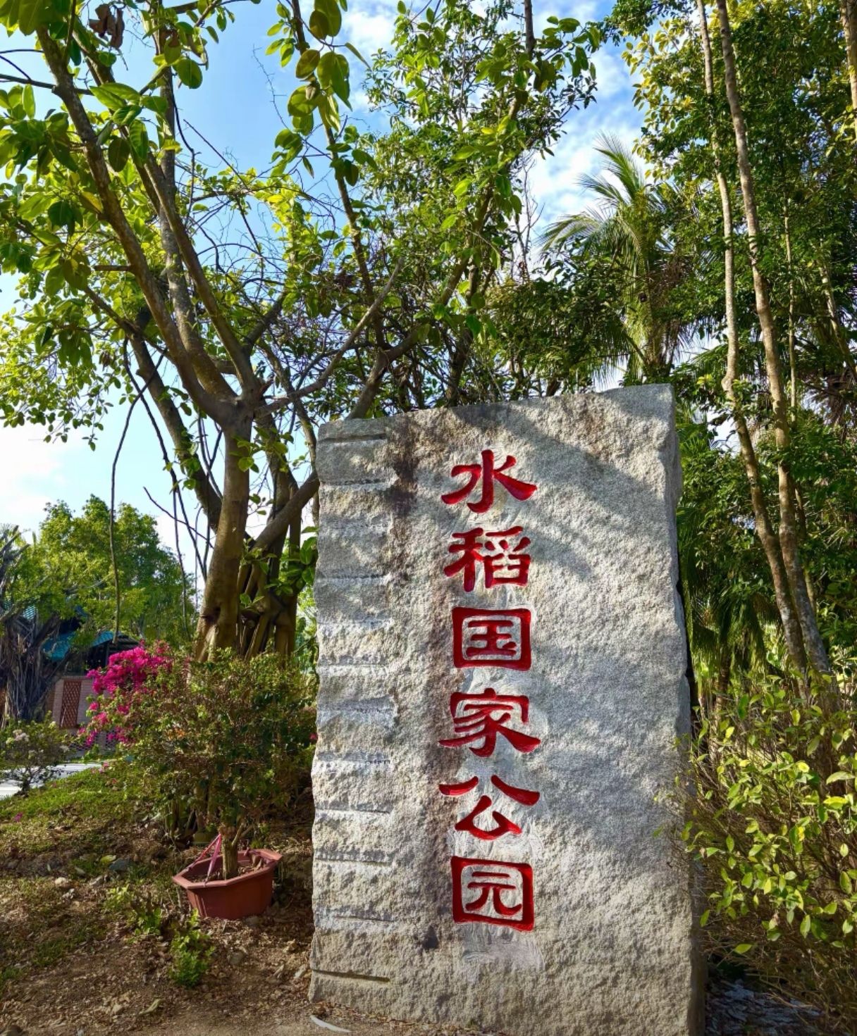 三亚海洋探索世界酒店大堂游玩全攻略——门票、交通、住宿一文搞定