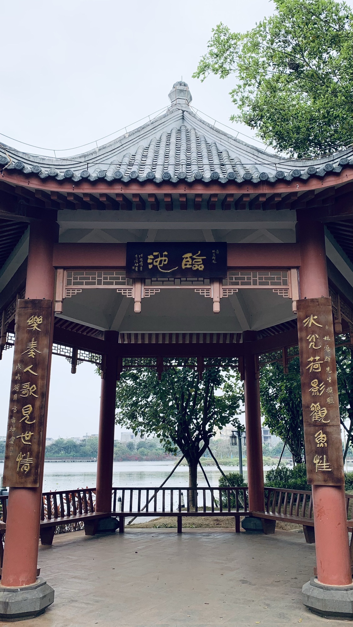 探秘五指山红雅民宿——2026年五指山最值得打卡的目的地攻略
