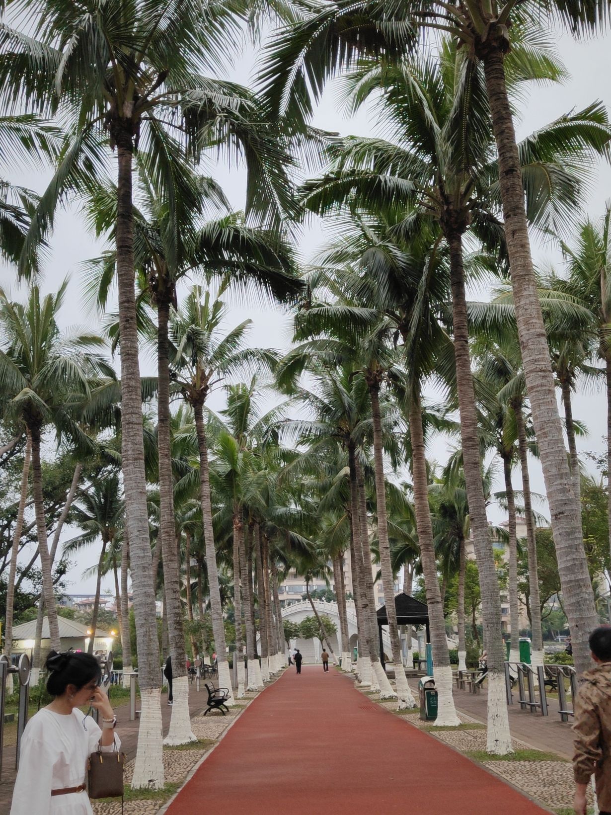 探秘海口希尔顿酒店——海口最值得打卡的目的地（2026攻略）