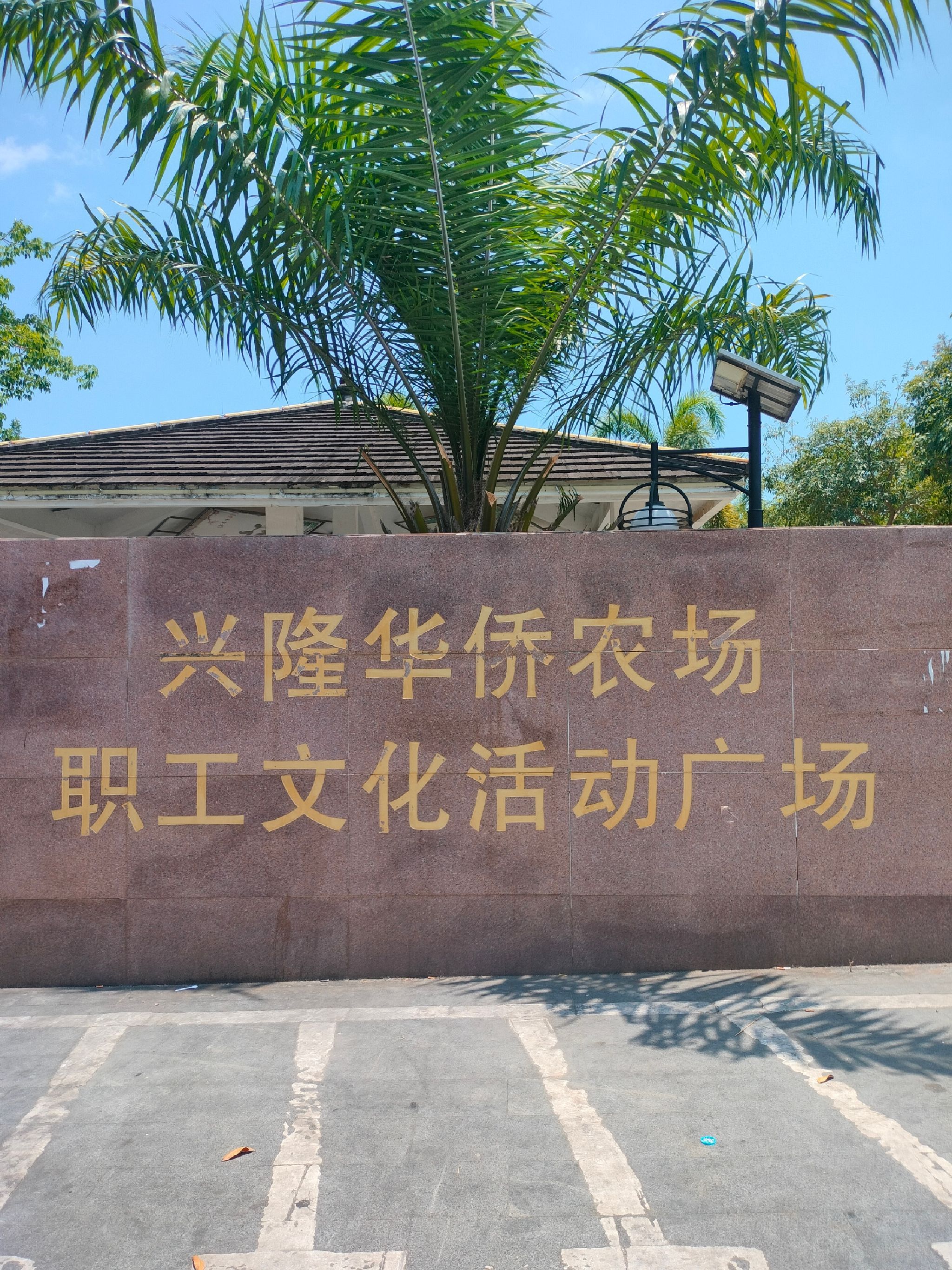东方自由行攻略：从东方万怡精品酒店出发的经典路线（202606172011）
