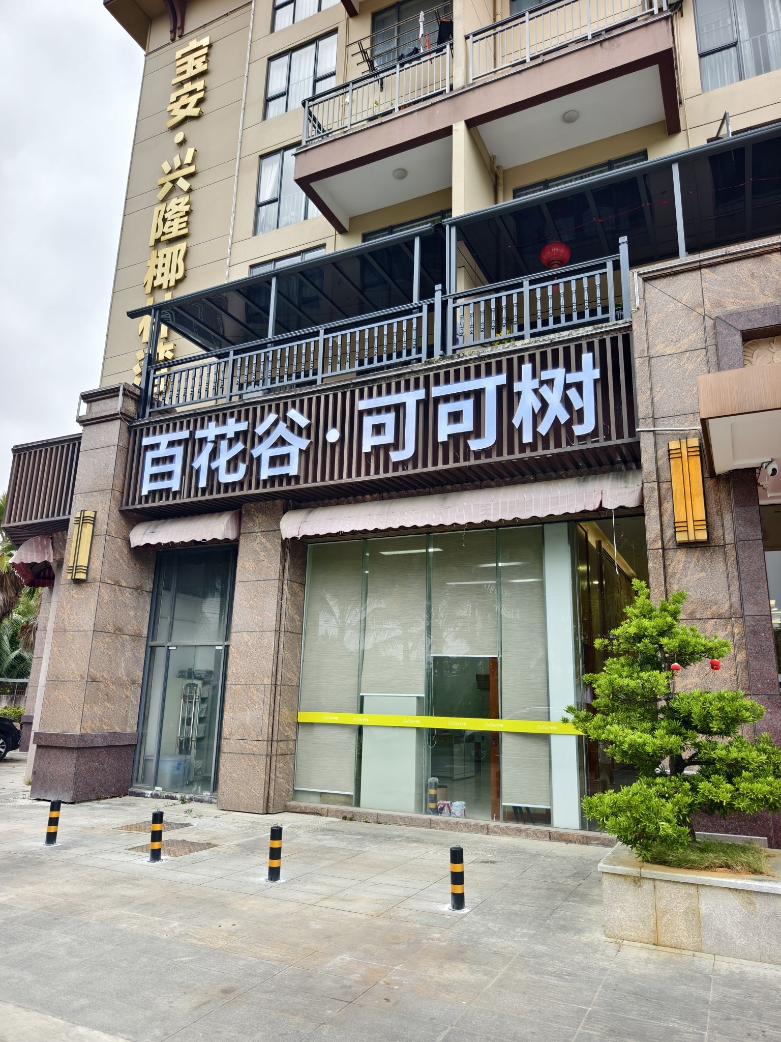 百花谷·可可树