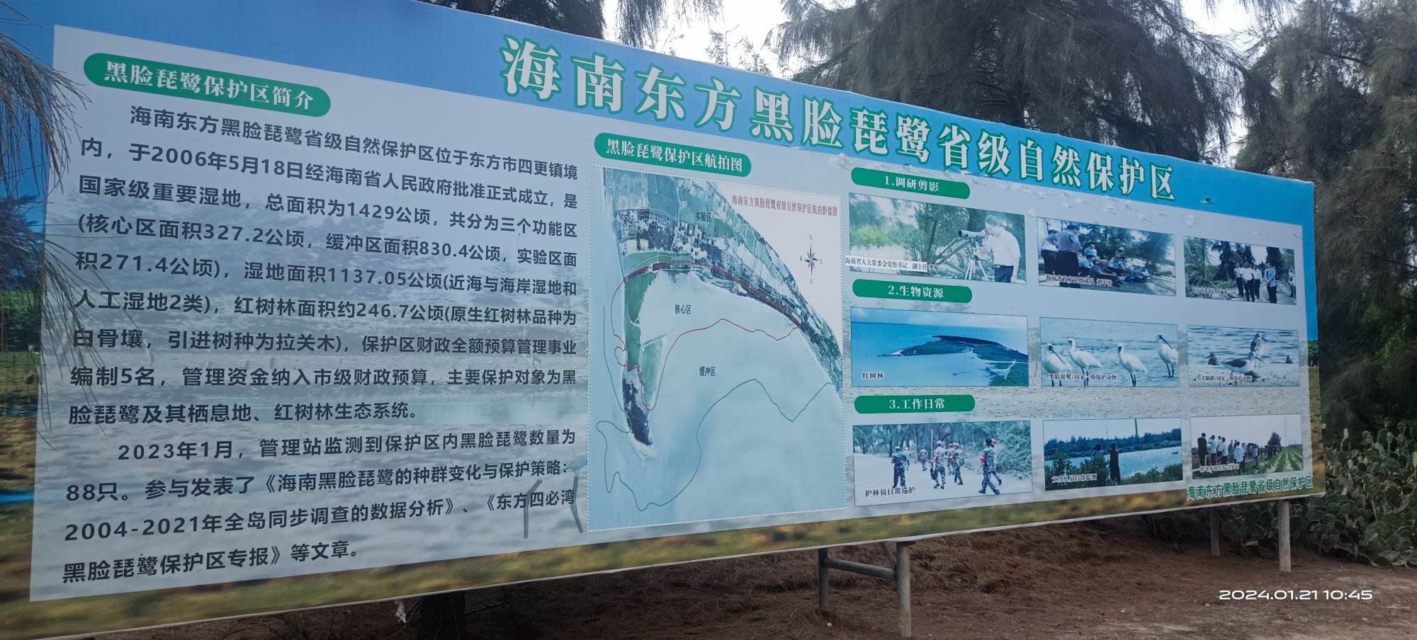 四季公寓到底值不值得去？2026东方旅行体验报告