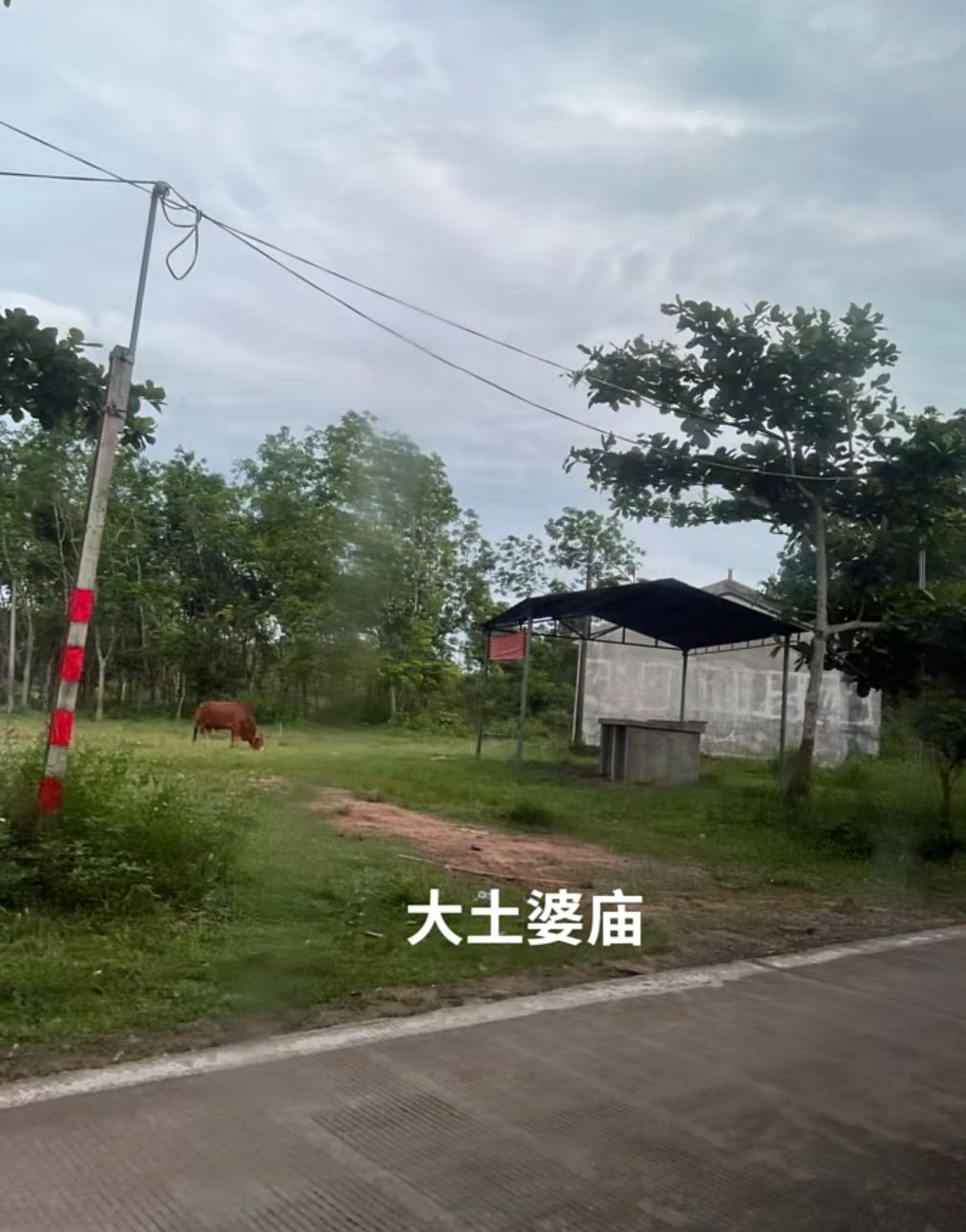 大土境主庙