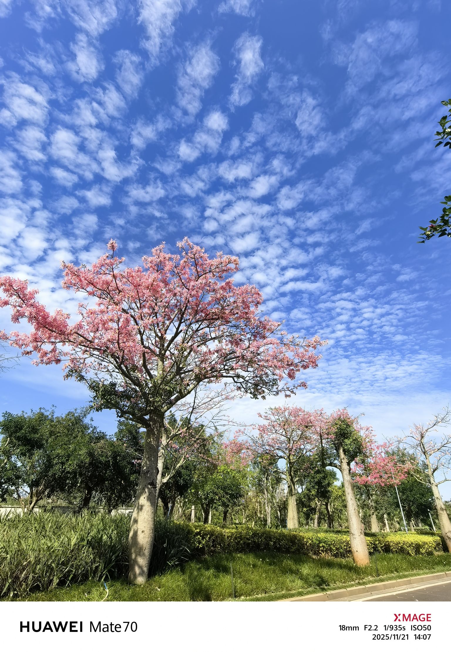 水月公园