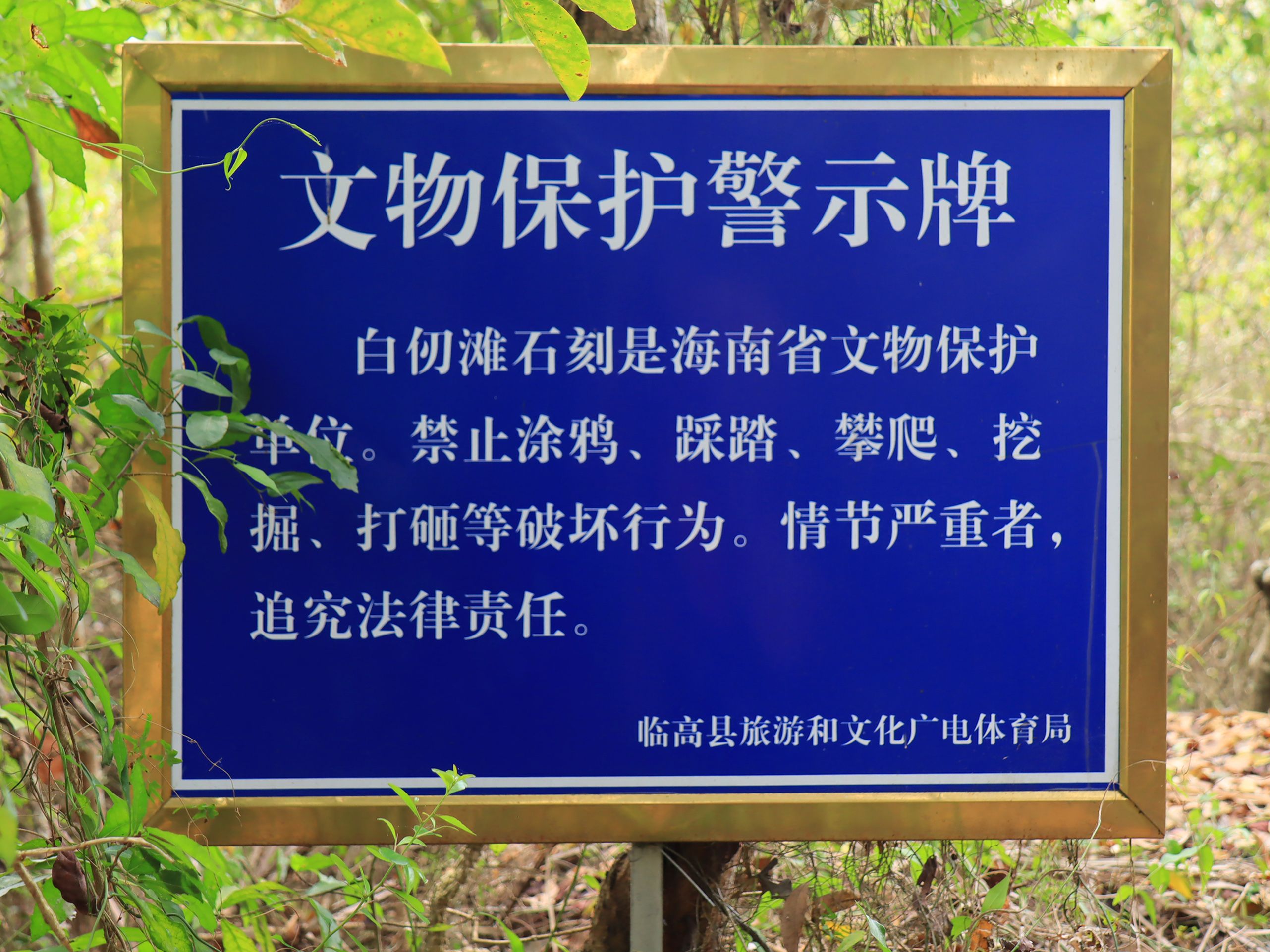 2026年澄迈县旅游必读：澄迈金福隆宾馆周边玩法推荐