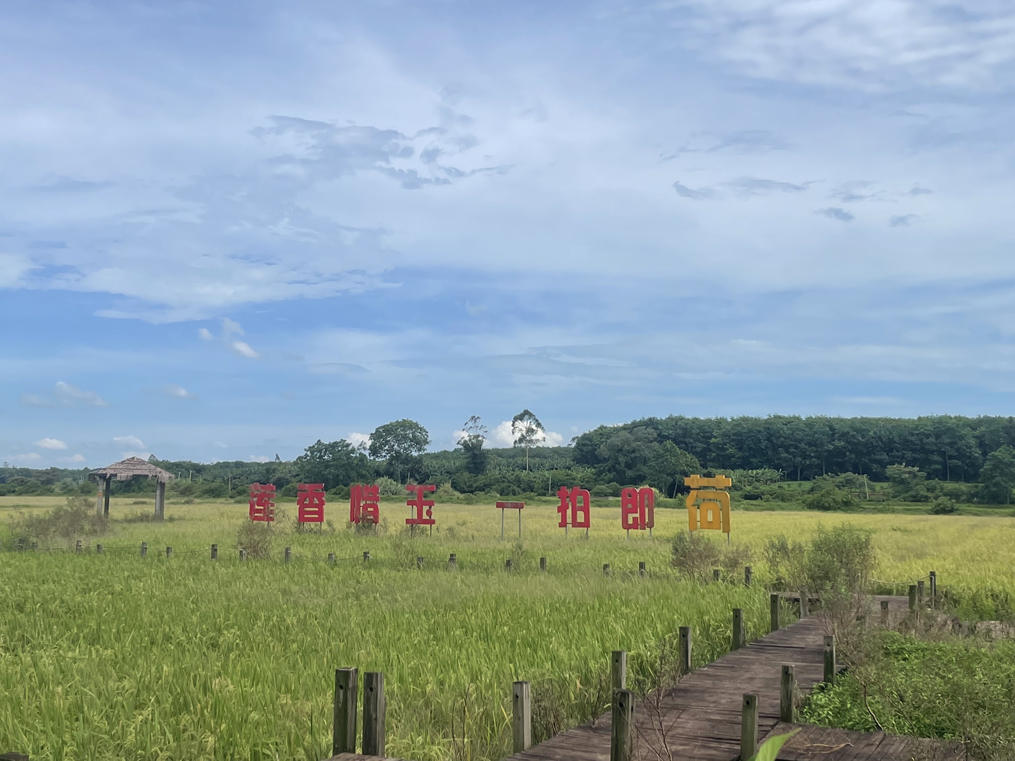 来澄迈县别只知道打卡——栖海智慧酒店(澄迈金江店)的宝藏玩法