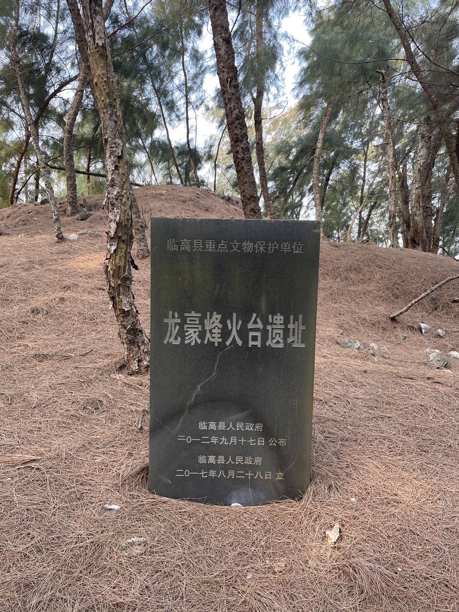 澄迈县春天民宿(澄迈4号店)攻略：澄迈县必去景点与旅行贴士（2026）