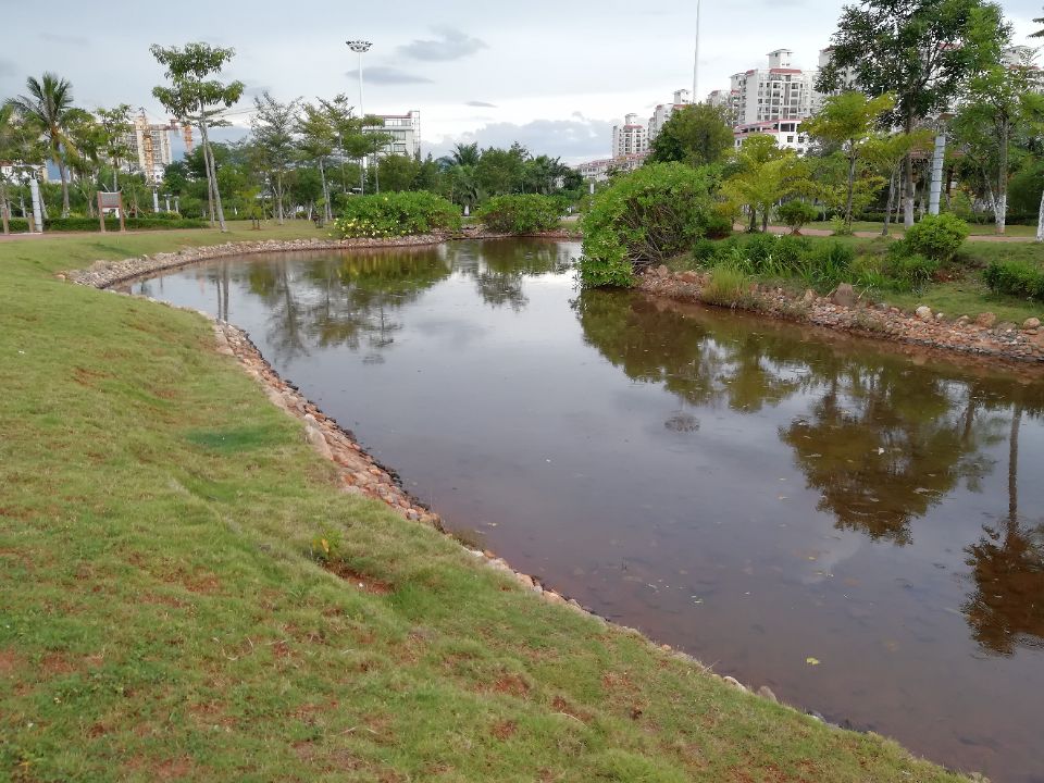 市民广场小公园