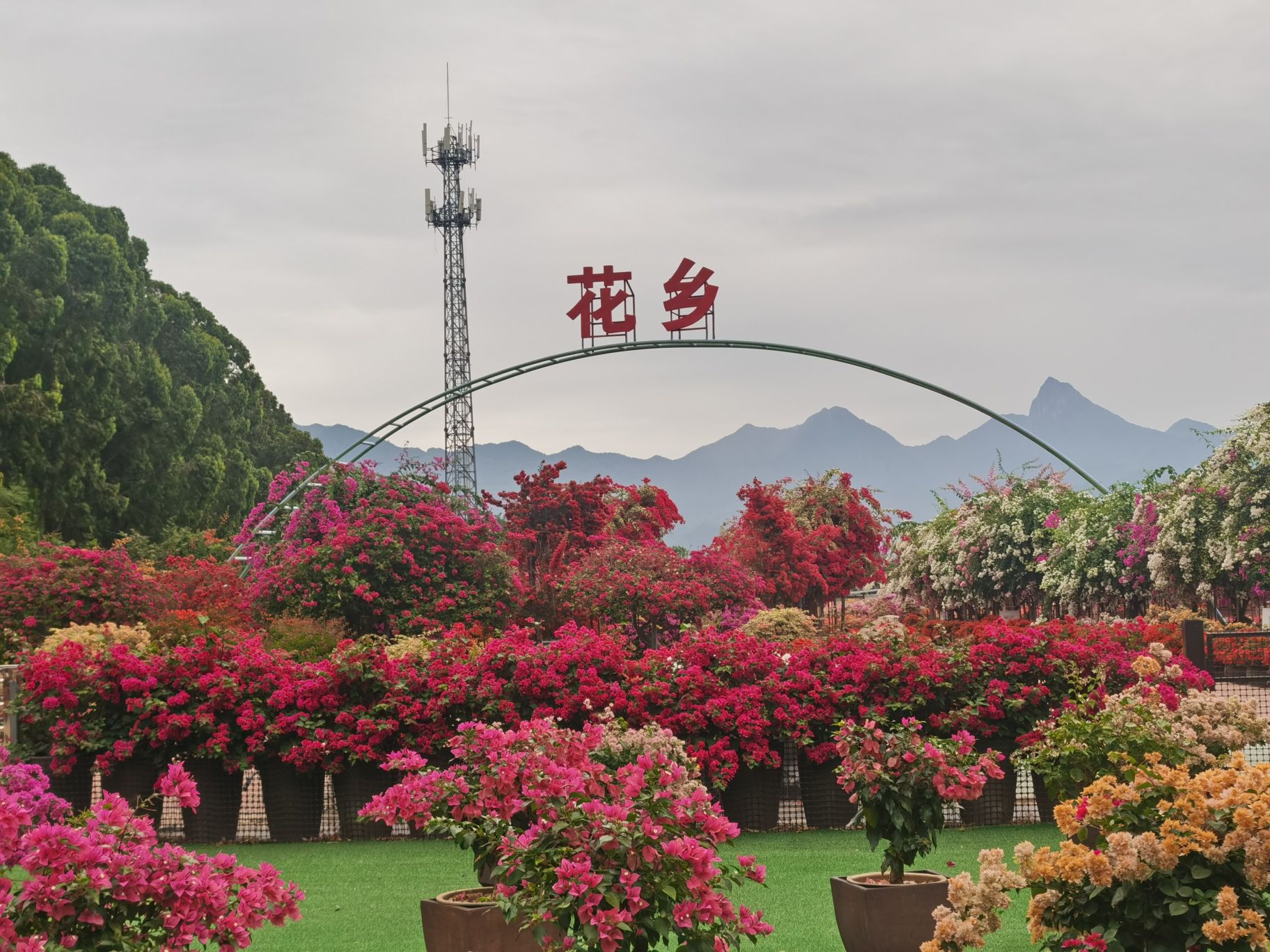 临高县之旅不可错过：临高菀茹商务酒店深度体验指南