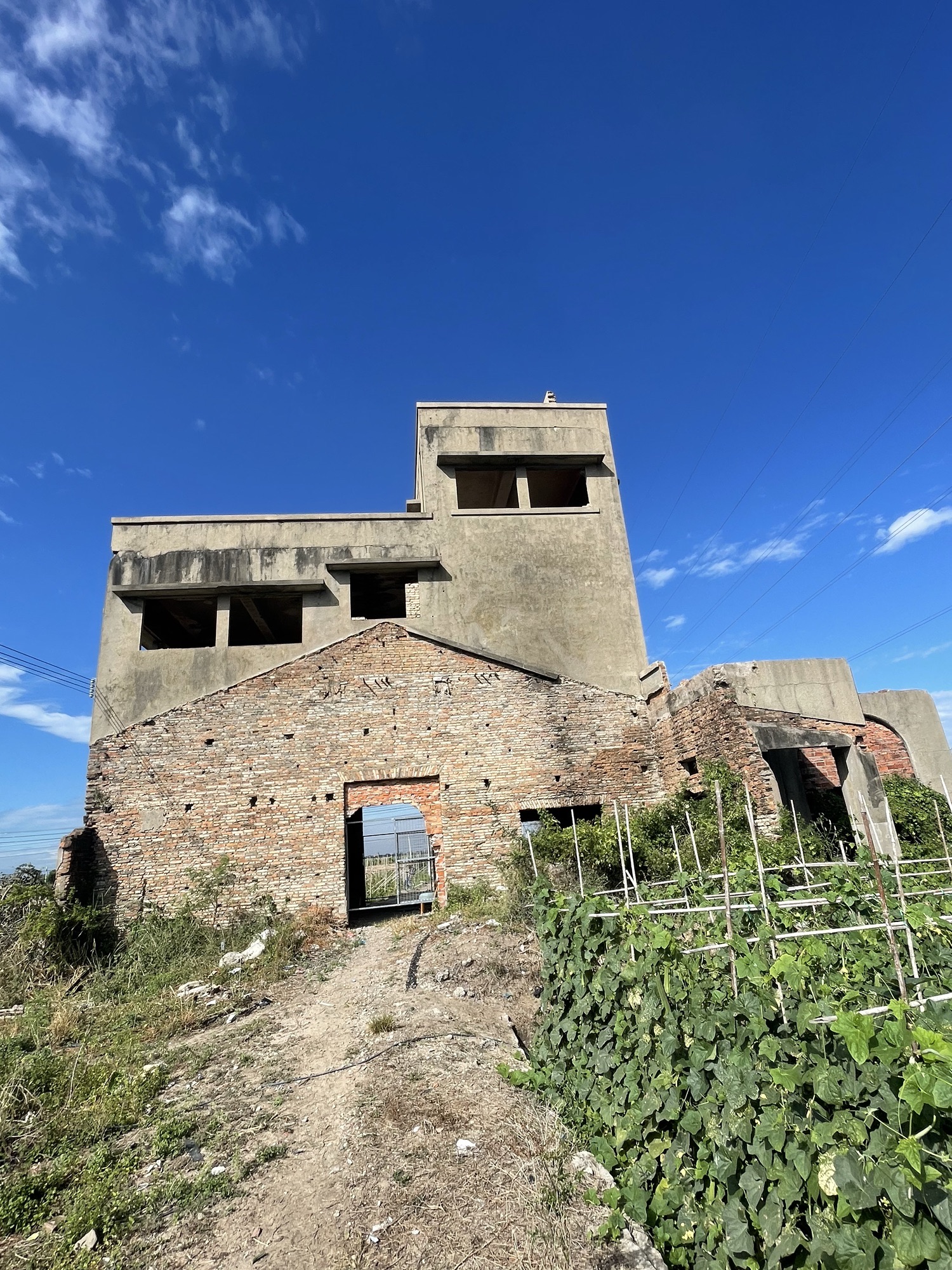 2026年临高县旅游必读：临高维嘉乐商务酒店周边玩法推荐