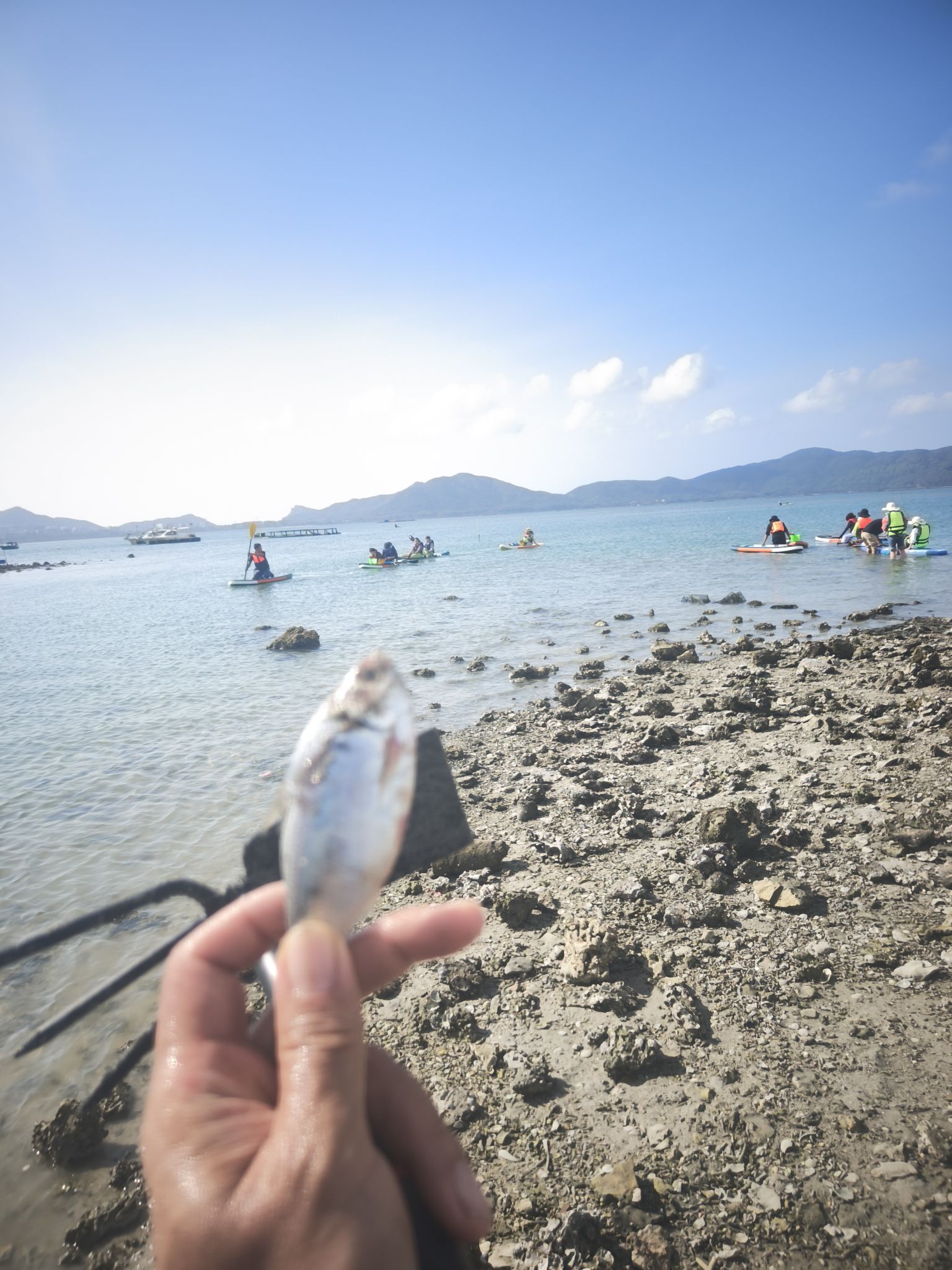 临高县旅游攻略：探秘城外有星光海漫漫民宿(临高店)——2026年最值得打卡的目的地