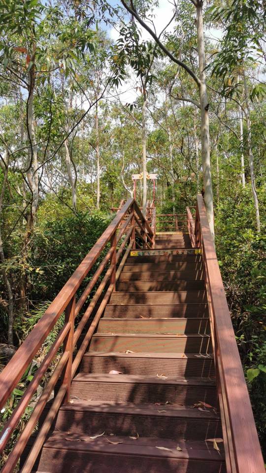 美良第一深情到底值不值得去？临高县旅行体验报告