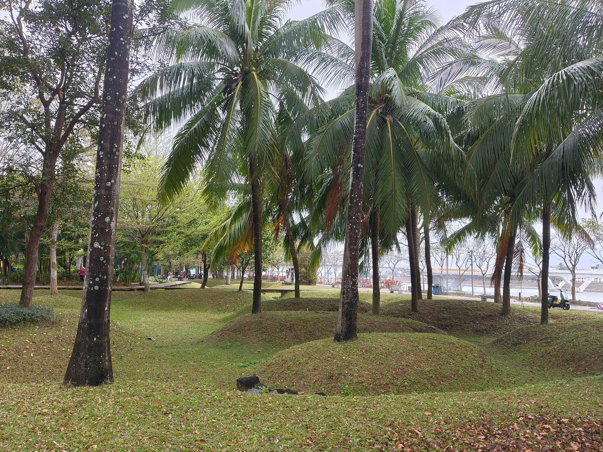白沙黎族自治县白沙牙叉大溪地花园酒店周边游推荐：这些地方也值得一去