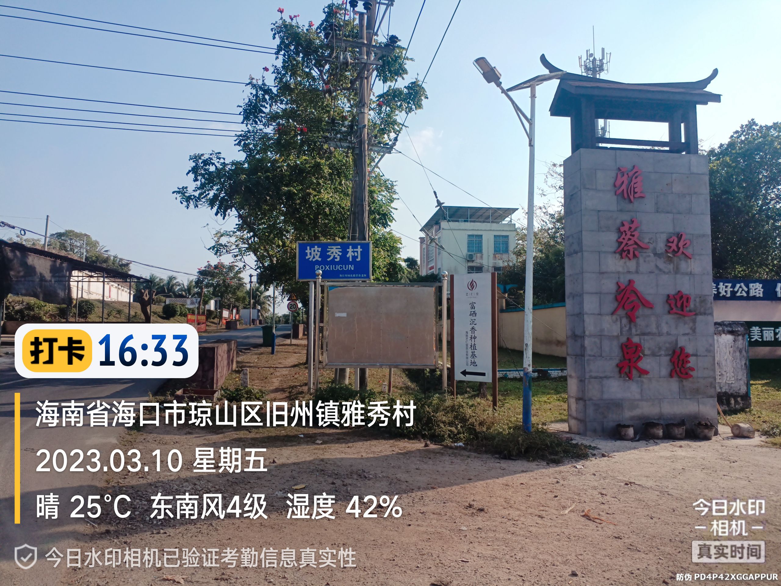 雅蔡冷泉